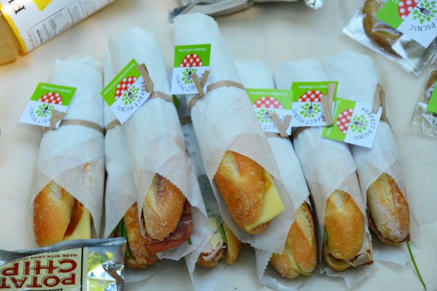 Central_Park_NYC_Shoot__0016_DSC_3316