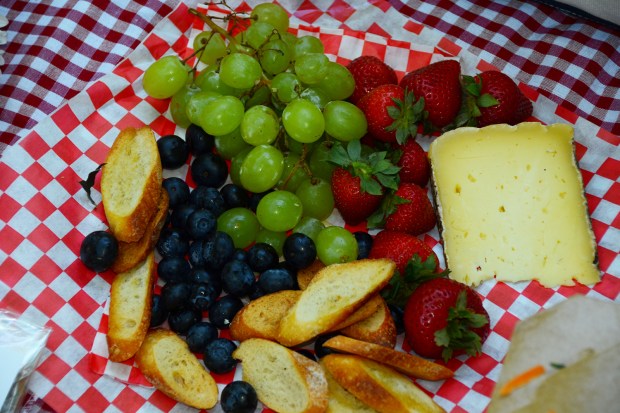 Central_Park_NYC_Shoot__0017_DSC_3310